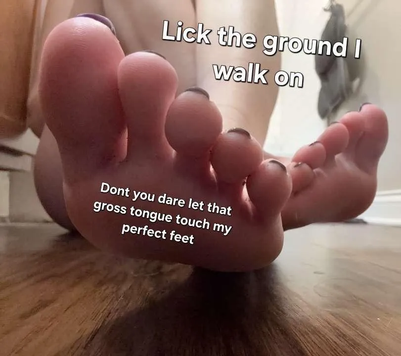 and be thankful you get anything at all. posted by findom_queenbee