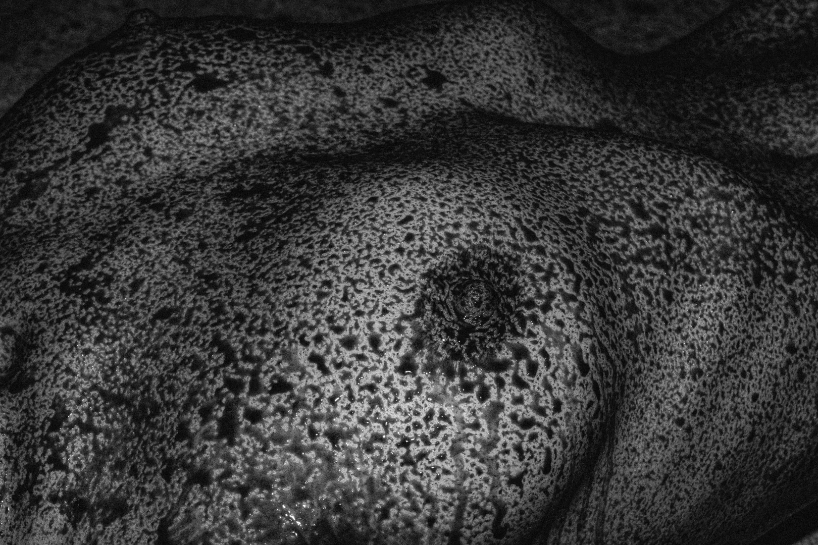 Anna posted by SlavikPh