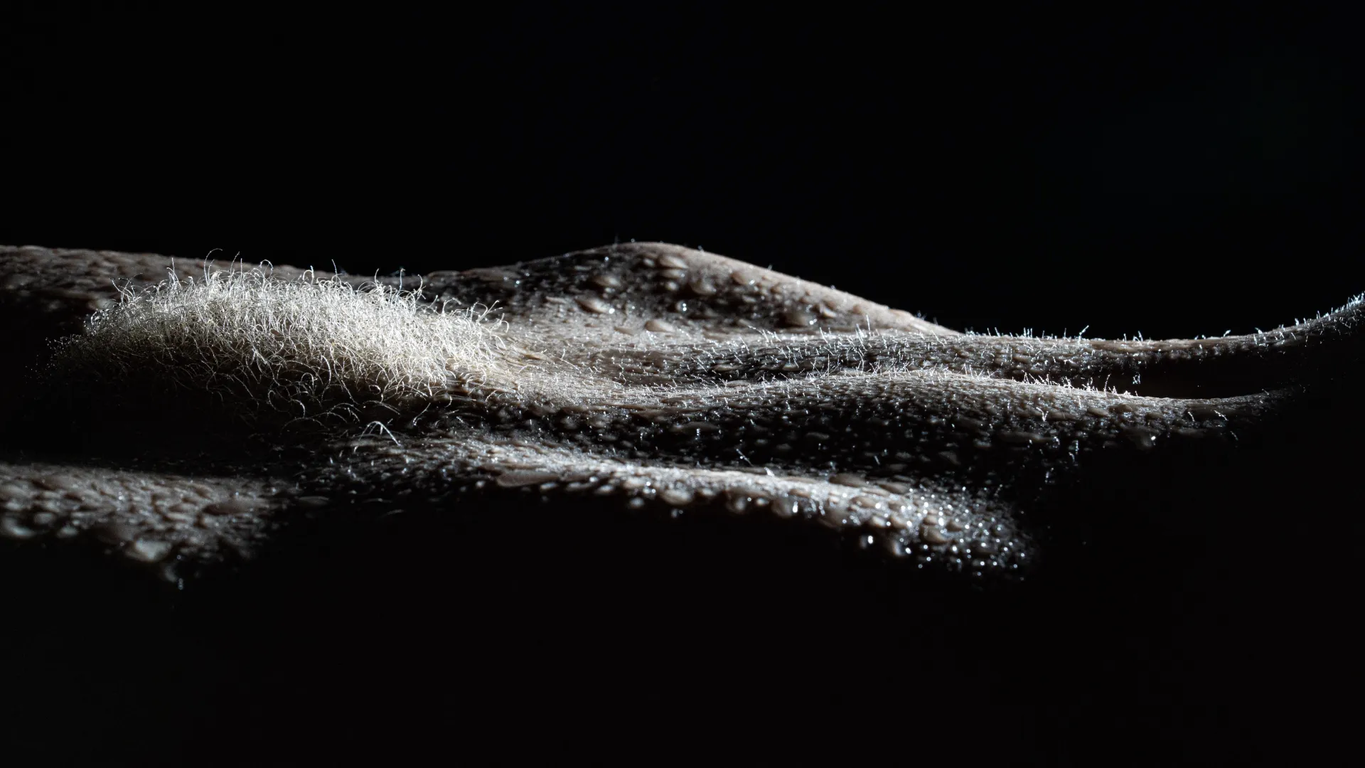 Anna posted by SlavikPh