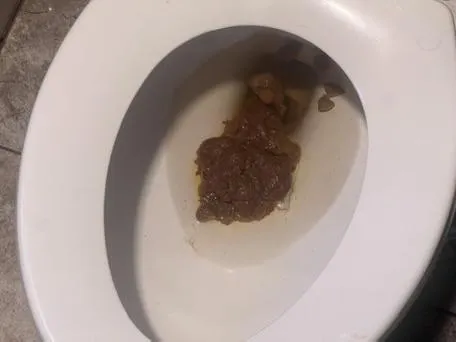 Another big manly shit of mine hmu if you a scat bro posted by Shoddy_Reaction_127