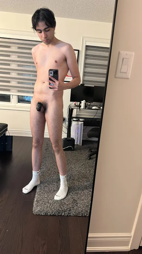 Another cage check for Sir by MikeStone367