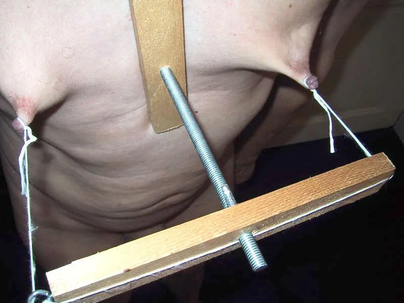 Another homemade nipple puller posted by DueCommunication9865