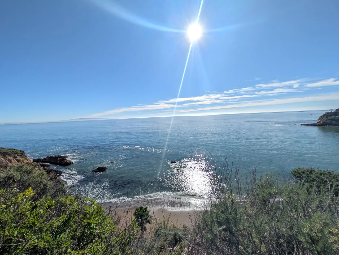 Another one! posted by Fresh_Vacation_5726