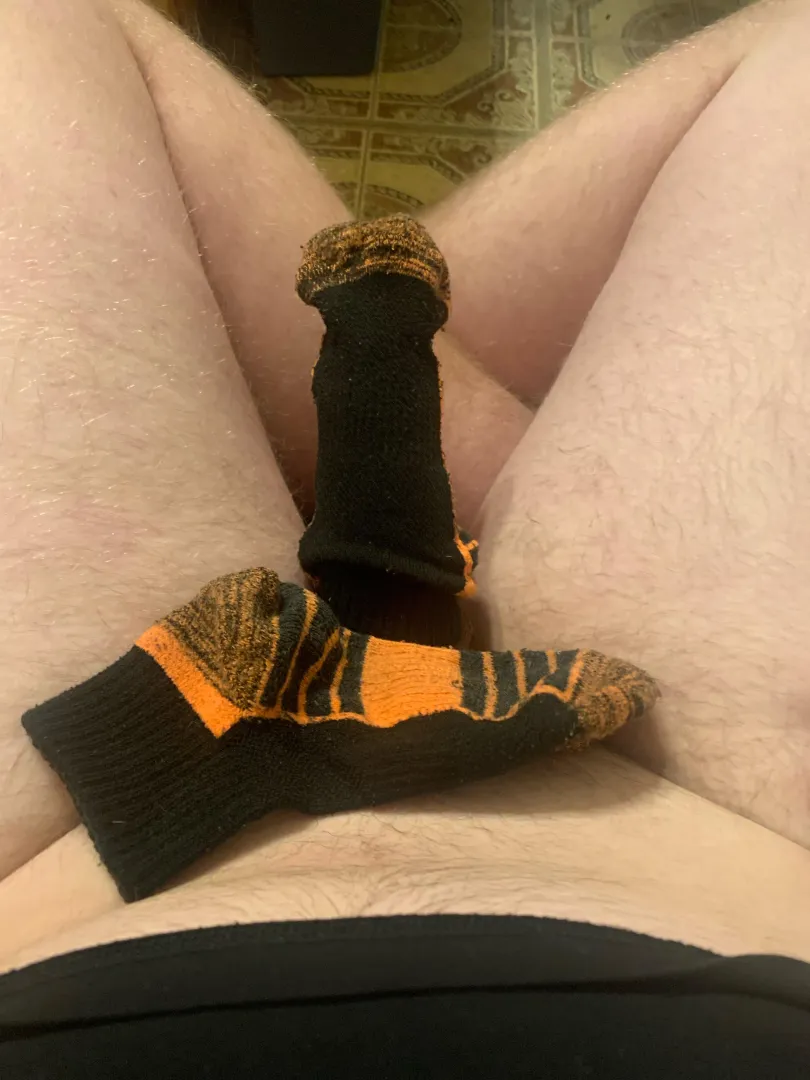 Another pair posted by Delicious-Chest-7307