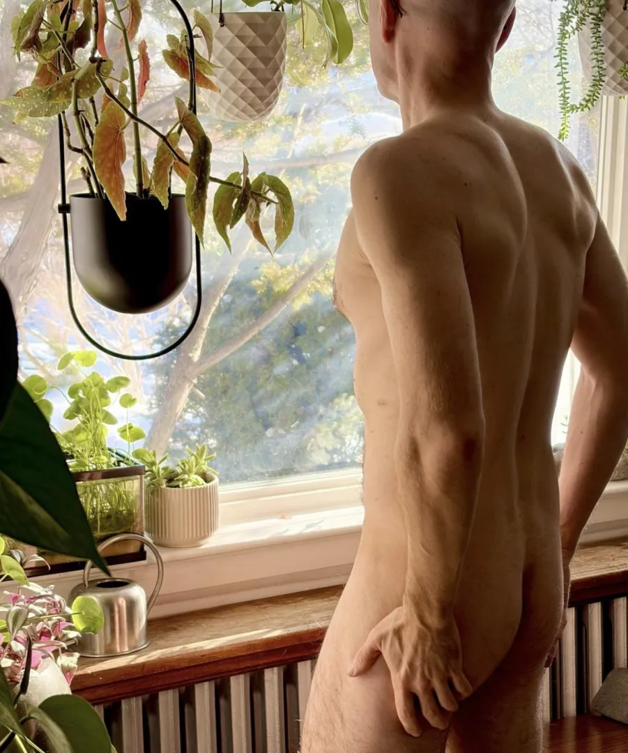 Anticipating spring.. posted by PreGenK