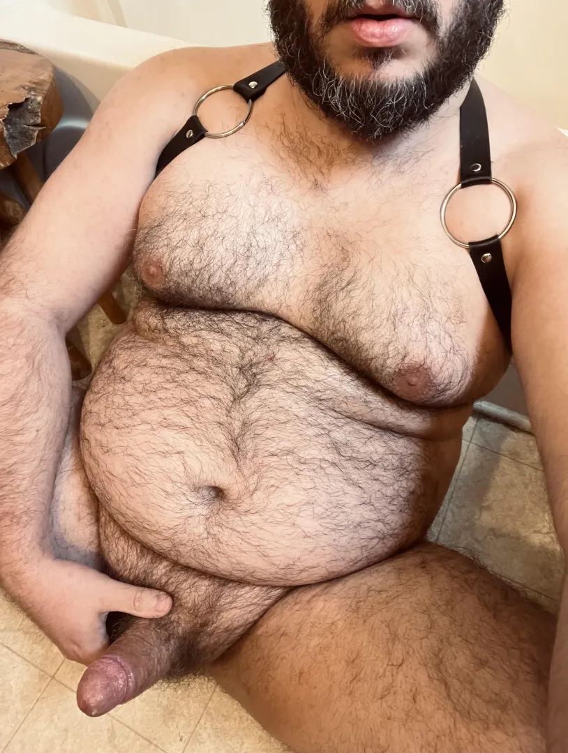 Any bears need a playmate tonight? posted by Goodest_boyy