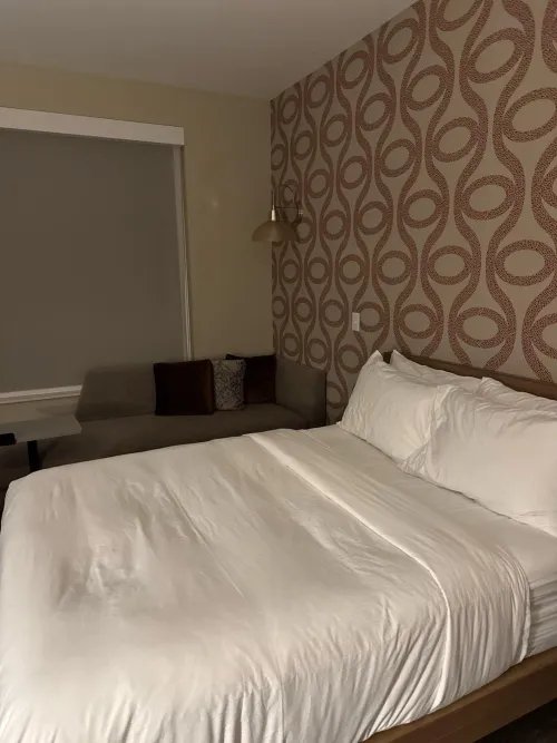 Any cucks want a girl cock to take their spouse? My hotel room has a spot for you to sit  by Electrical-Tune-8509