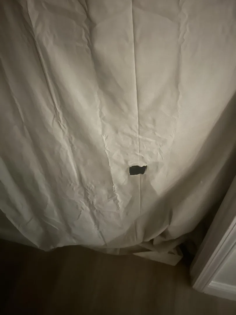 Any dl guy wants head tonight posted by Suitable-Account7023