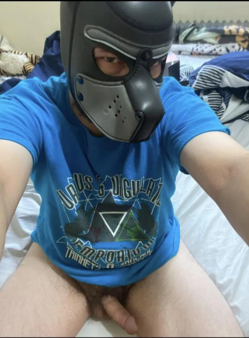 Any furries into roleplay? Love chatting with pups! posted by Alpha_Pup_93
