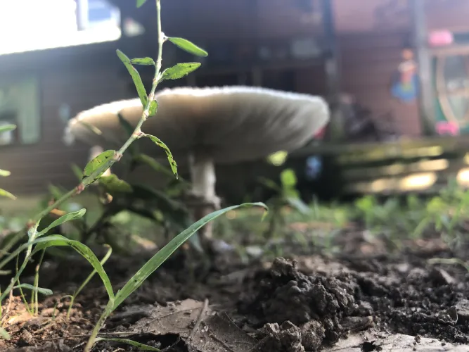 Any gloryholes around paducah? by Nearby-Baby-4159