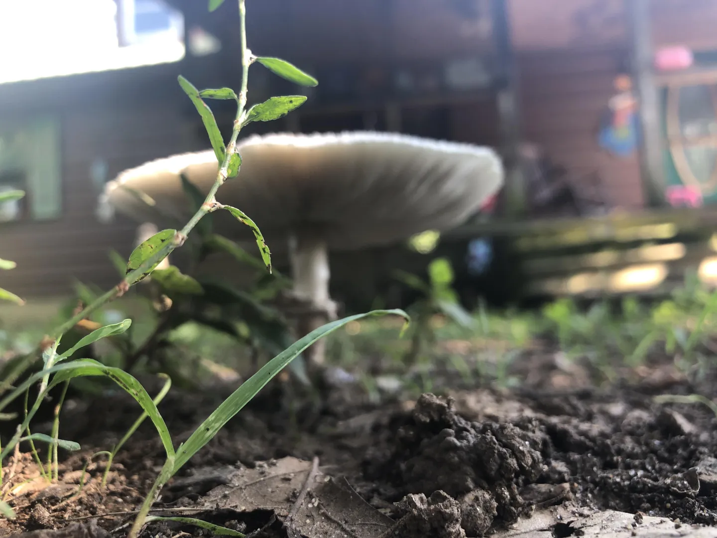 Any gloryholes around paducah? posted by Nearby-Baby-4159