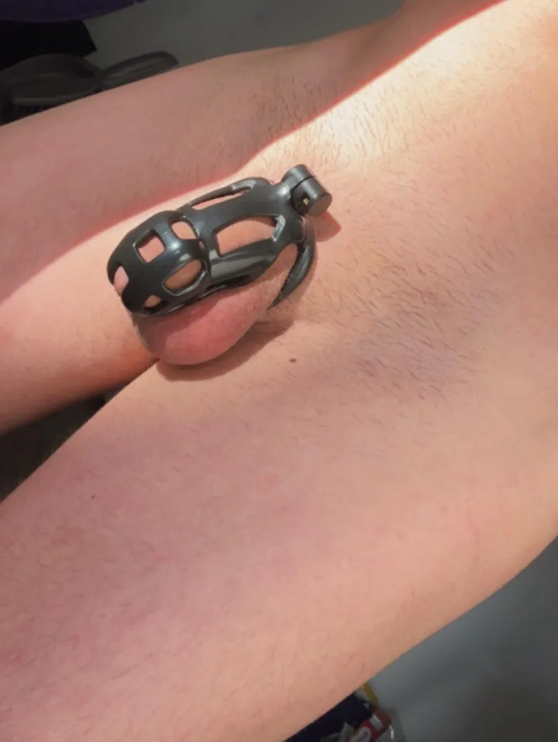 Any guys in cages or women who like watching guys in cages wanna chat?  posted by Silver_Bit2571