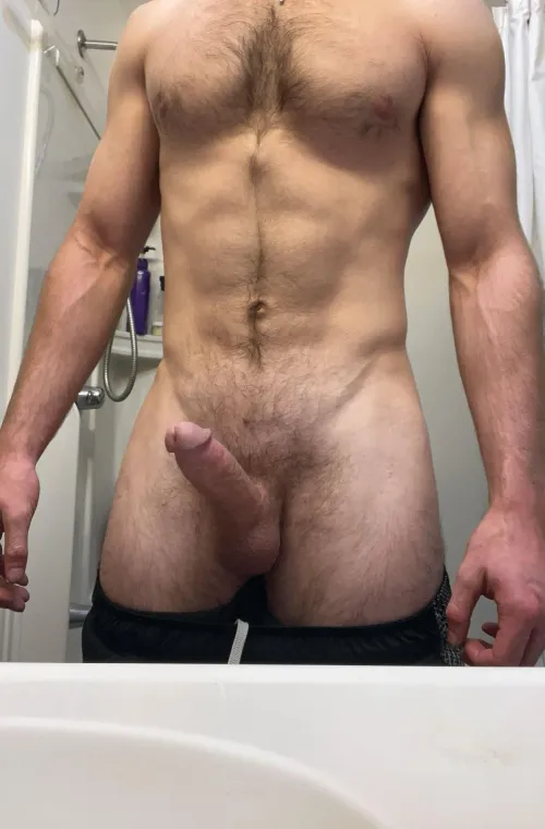 Any interest for this experienced bull? (NY) by BeachBullx