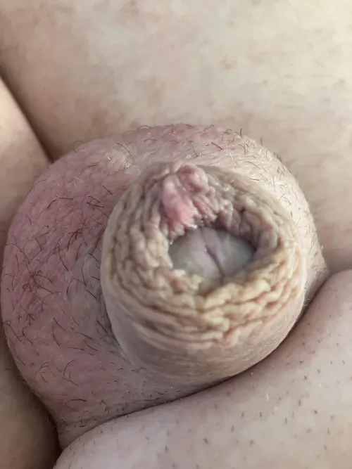 Any likes ? by Simple-Ride9021