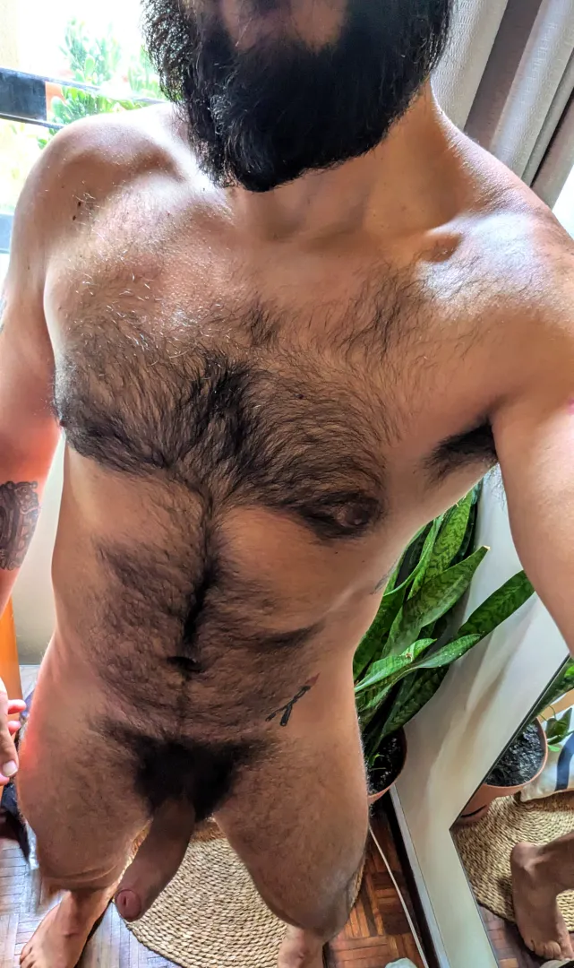 any takers? posted by Gamerwerbear_