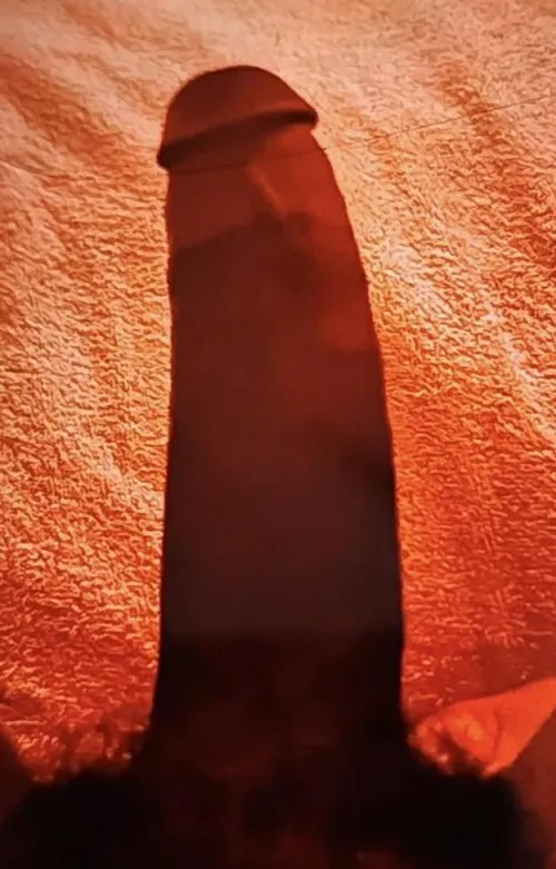 Anybody looking by gut_beater9661