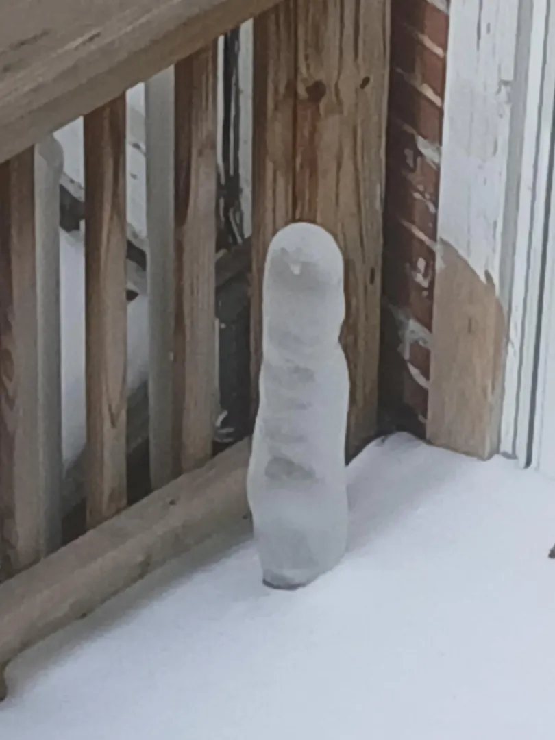 Anyone crazy enough? posted by hellhound1990