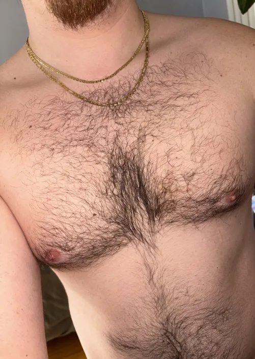 Anyone else start drooling when they start looking at their hairy chest, zoom for my spit covered fur by user14786435785