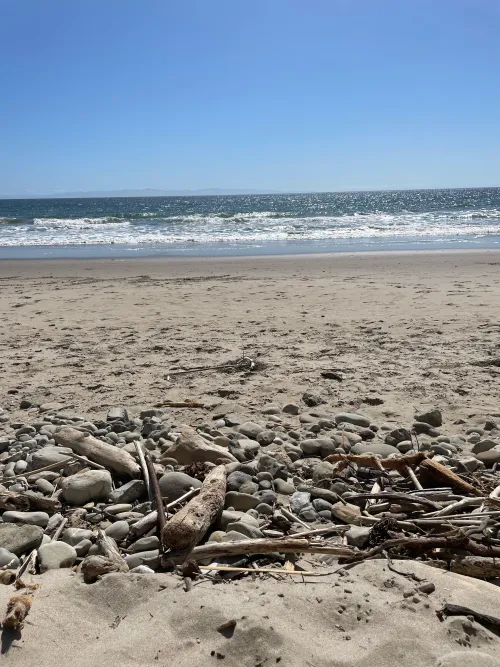 Anyone going today? by Zestyclose-Effect419