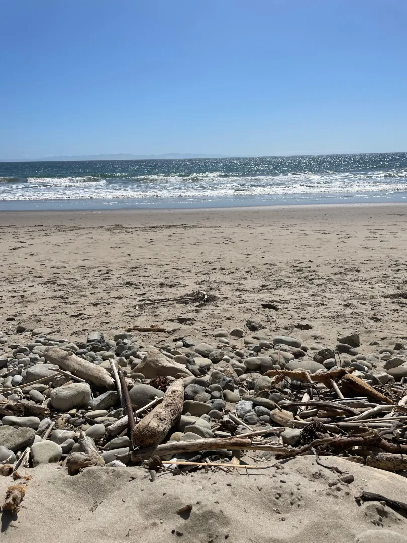 Anyone going today? posted by Zestyclose-Effect419