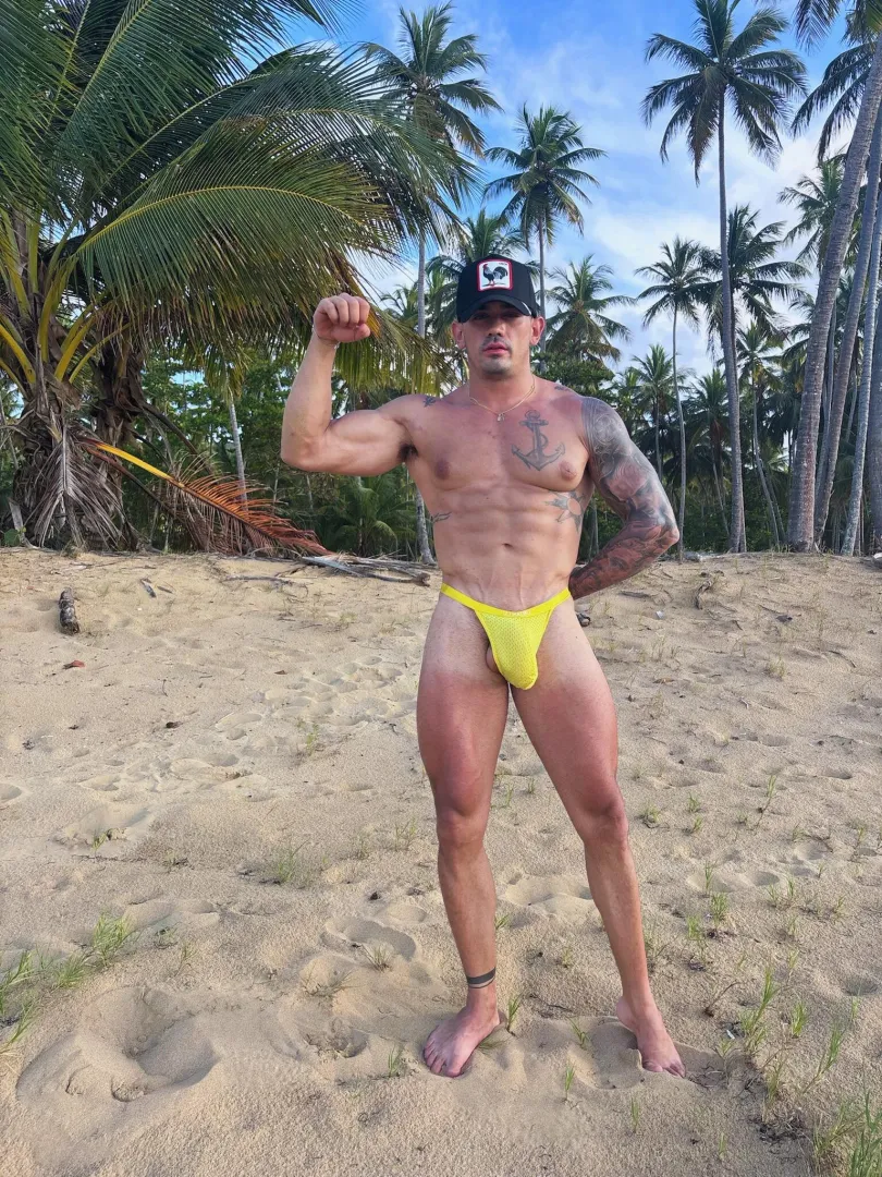 Anyone here looking for a partner? posted by vellitrap