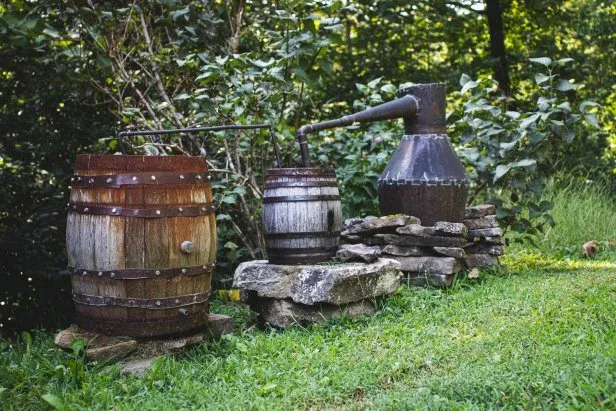 anyone wanna buy some Goonshine posted by Feisty_Hovercraft704