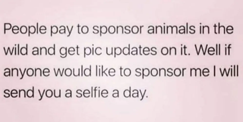 Anyone?  by FeeTight1345