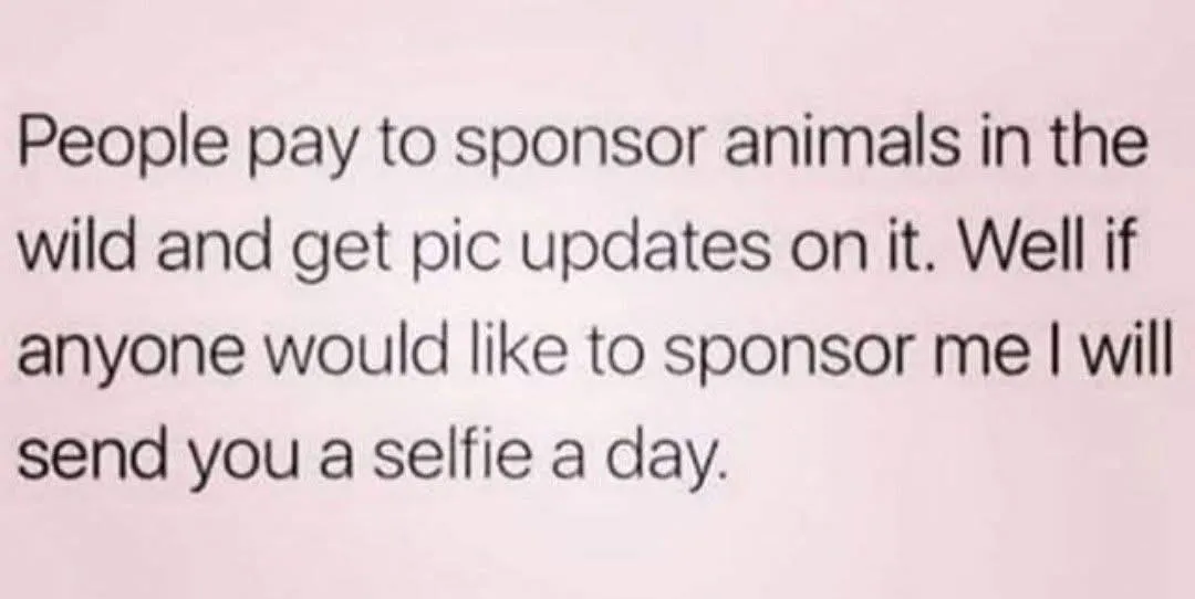 Anyone?  posted by FeeTight1345