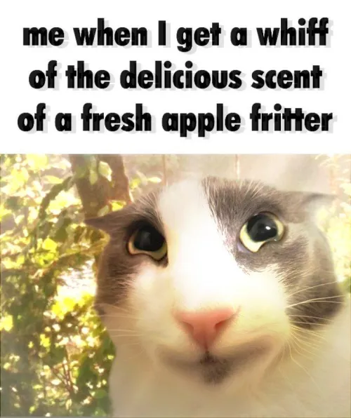 Apple fritter by longcow75