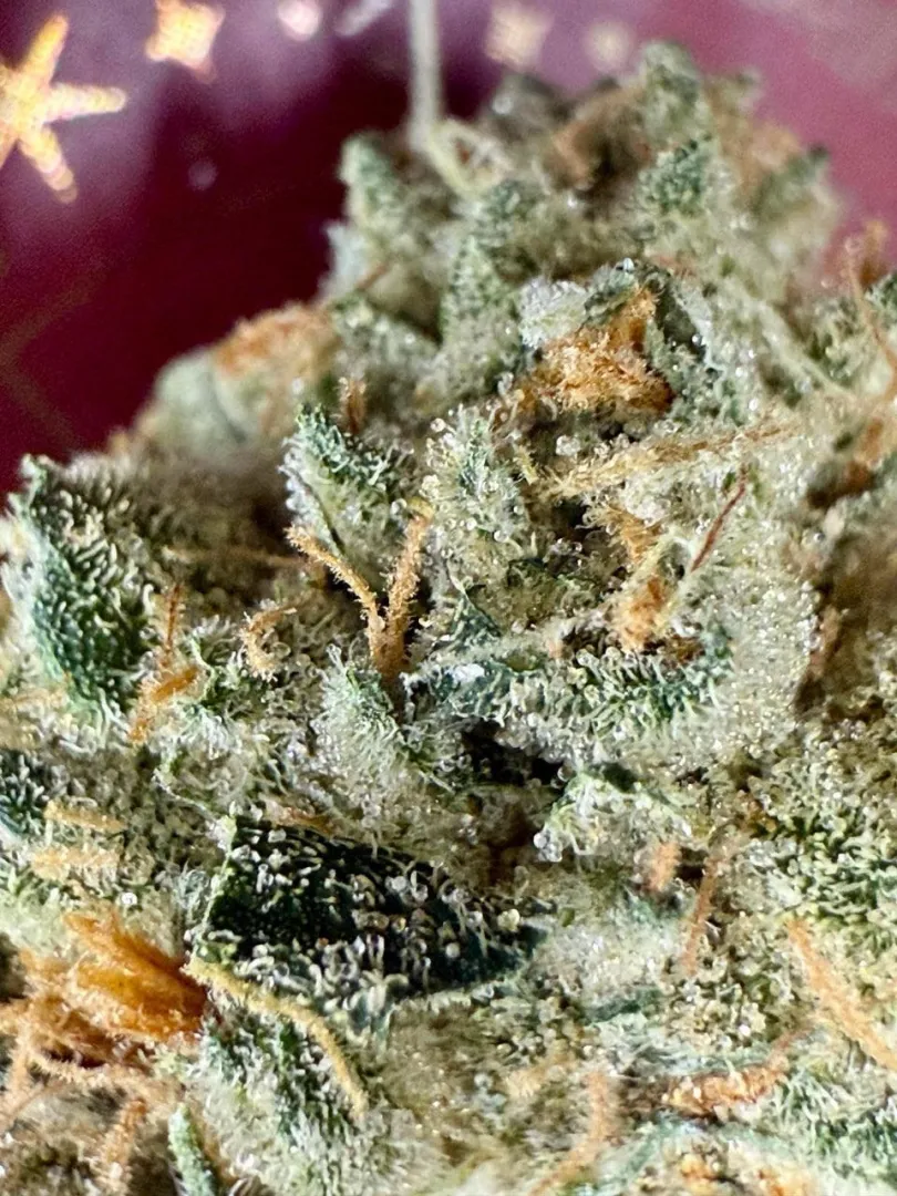 Apple Fritter posted by BenDoverDFW