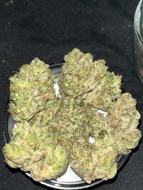 Apple Mintz by MagnumBrotha