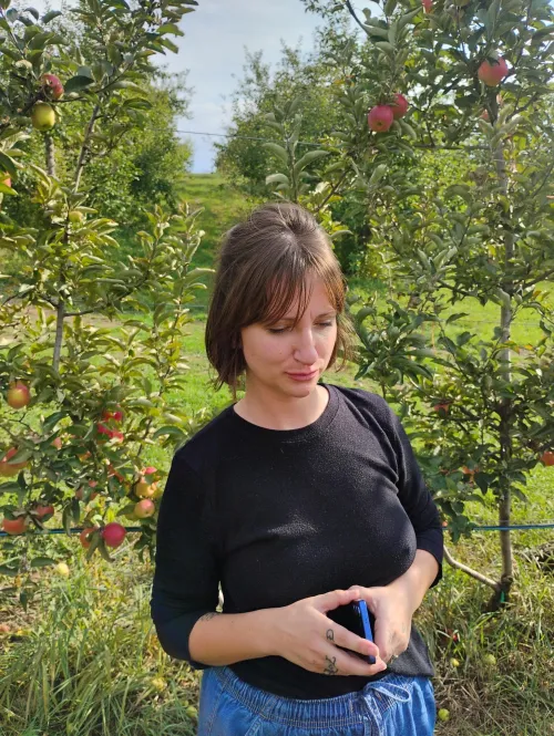 Apple picking by Due-Appointment2808