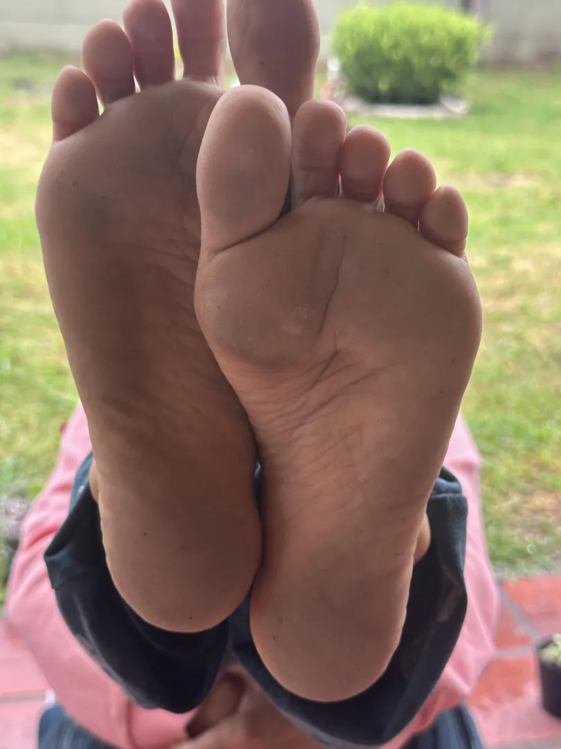 Arches  posted by PlantLover_72