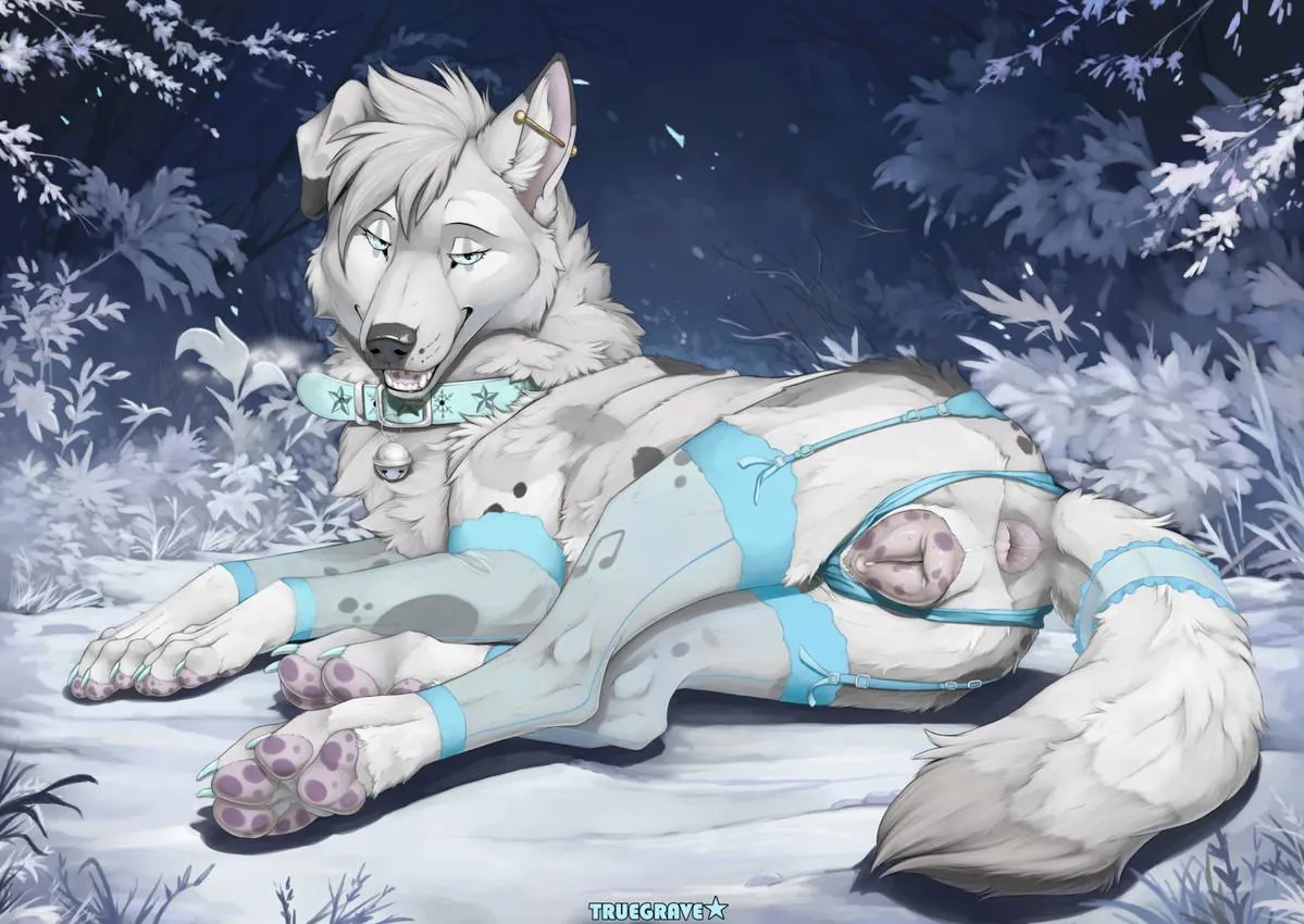 Arctic cookie... [F] (truegrave9) posted by Seracanine