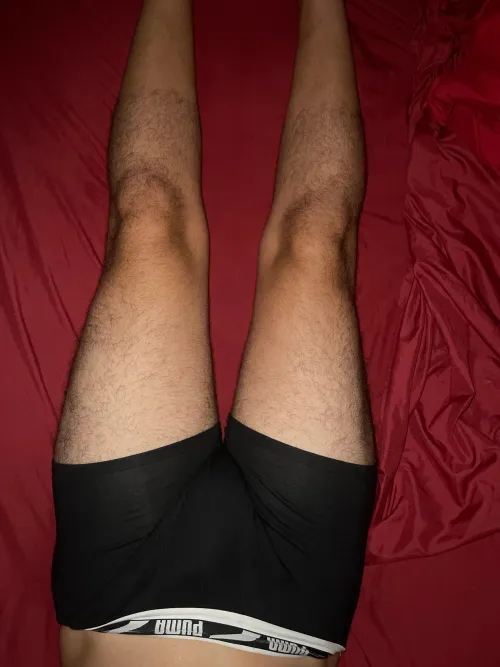 Are my legs good? by [deleted]