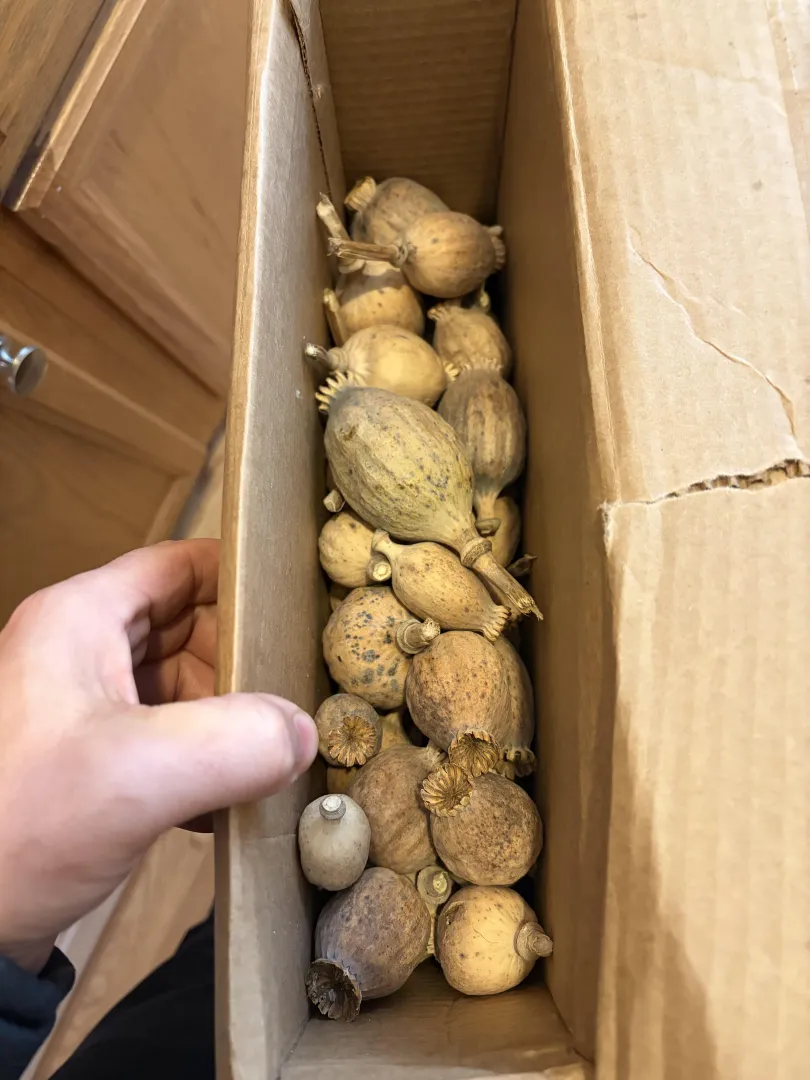 Are these good ? posted by Snoo-56469