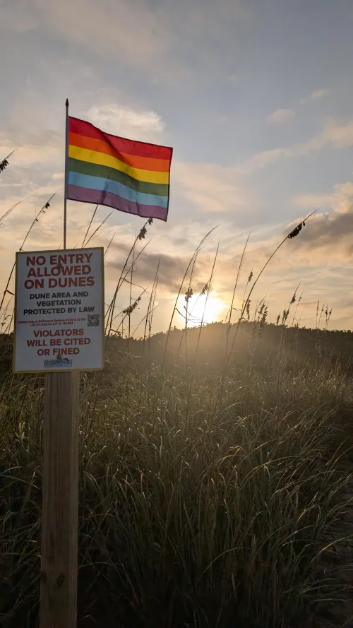 Are we stablishing boundaries? by cahuaya