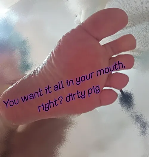 Are you going to lick the screen? by aprildevotion