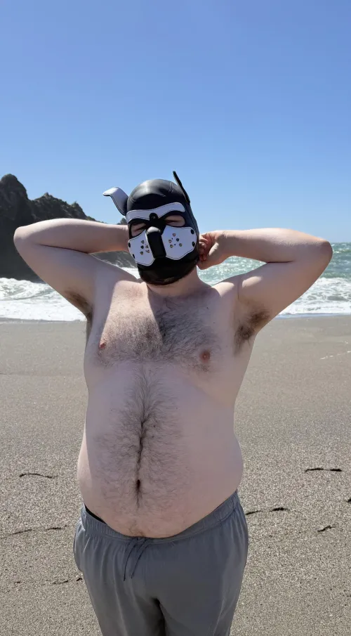 Arf hello (28) by SnooCakes6910