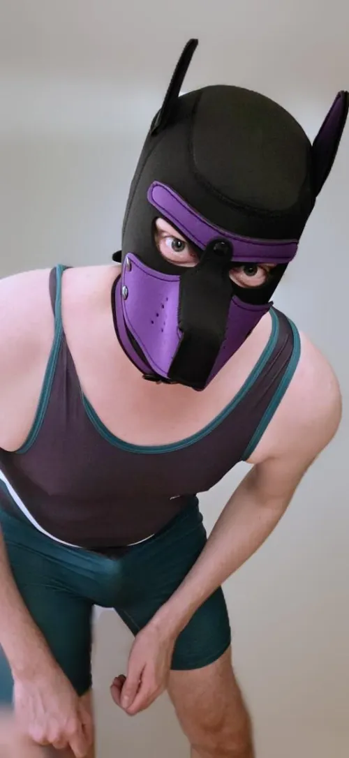 Arf! Who wants to wrassle? by _speedo_pup