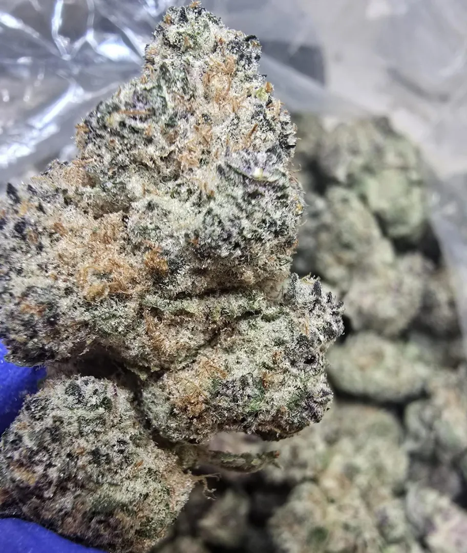 Arlington posted by RayZZZoR