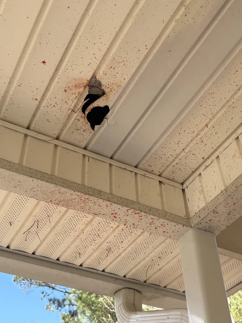 Asking the experts..Do you think this is blood? posted by NahhaN2019