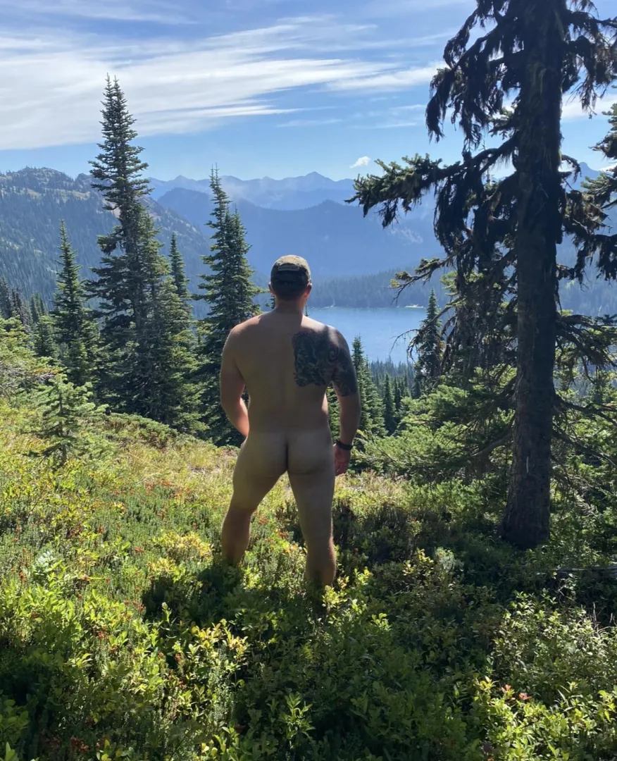 Assets in Naches posted by DesignIll963