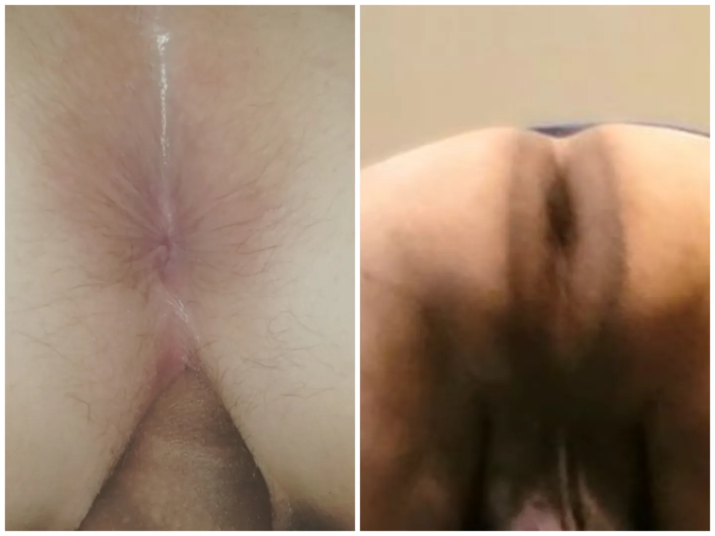 Assholes  hers(L) his(R) posted by papisothick
