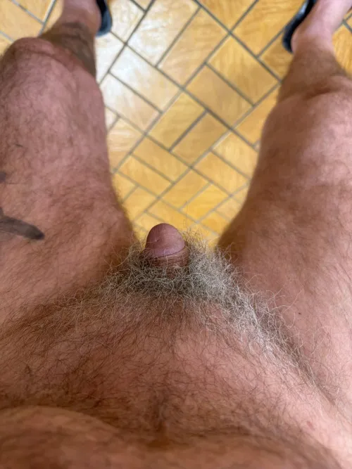 At its smallest by tinydickdude666