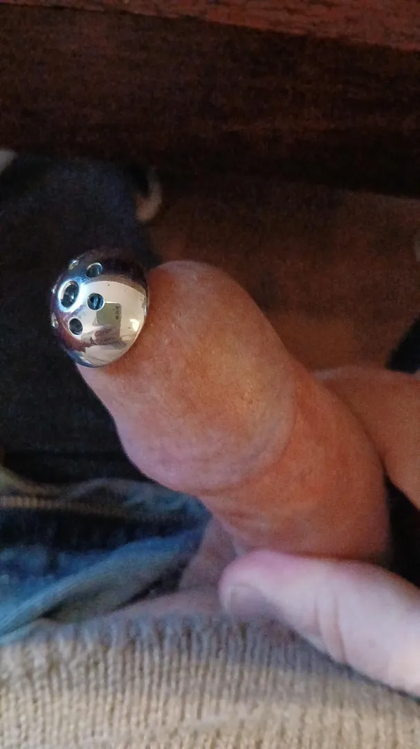 At the start of the day... posted by IjustlikeItHot