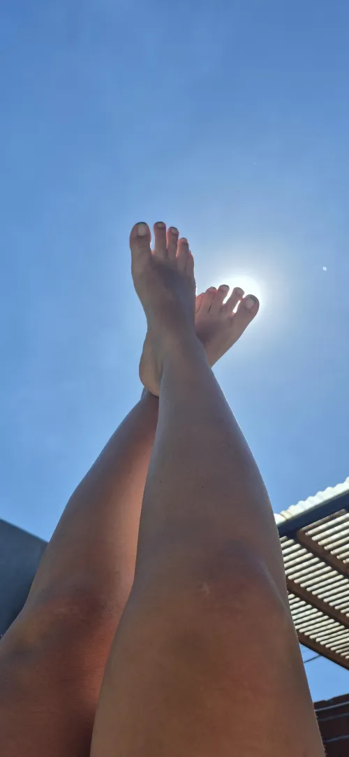 Attention!! They just want your attention!!! by AmelitaHoney