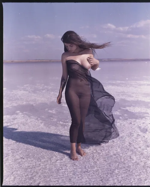 Avrelie 2025 by grains_and_ashes