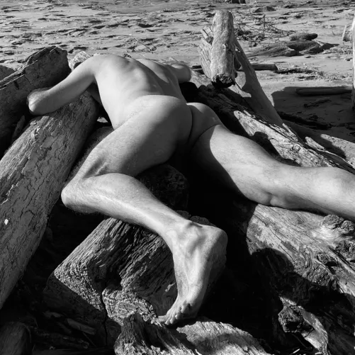 Awash by beachandforestfun