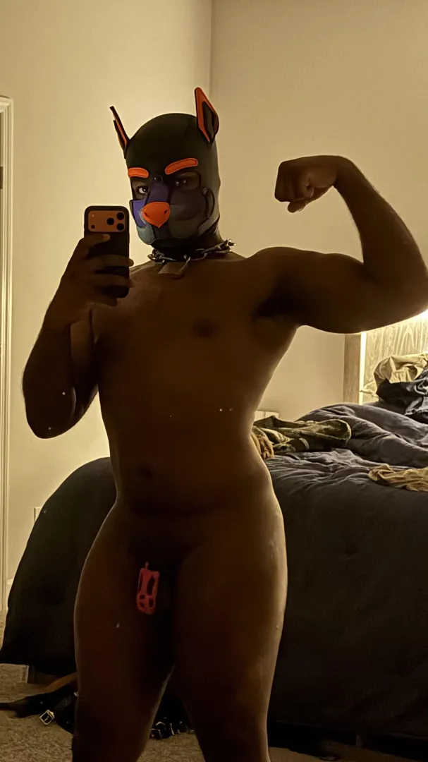 Awrooo! Cage check!! posted by dicksinmybussy